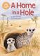 Reading Champion: A Home in a Hole: Independent Reading Orange 6 Non-fiction
